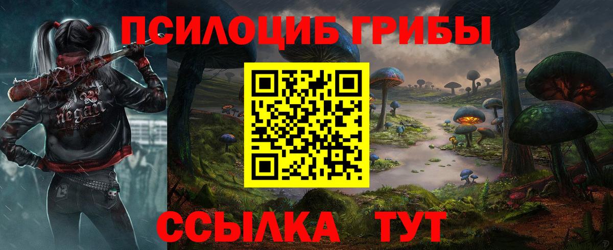 купить наркоту  Вход с VPN  Галлюциногенные грибы Psilocybine cubensis  Кемерово  Галлюциногенные грибы Magic Shrooms 